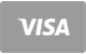 Visa debit and credit card deposits at Realz Casino